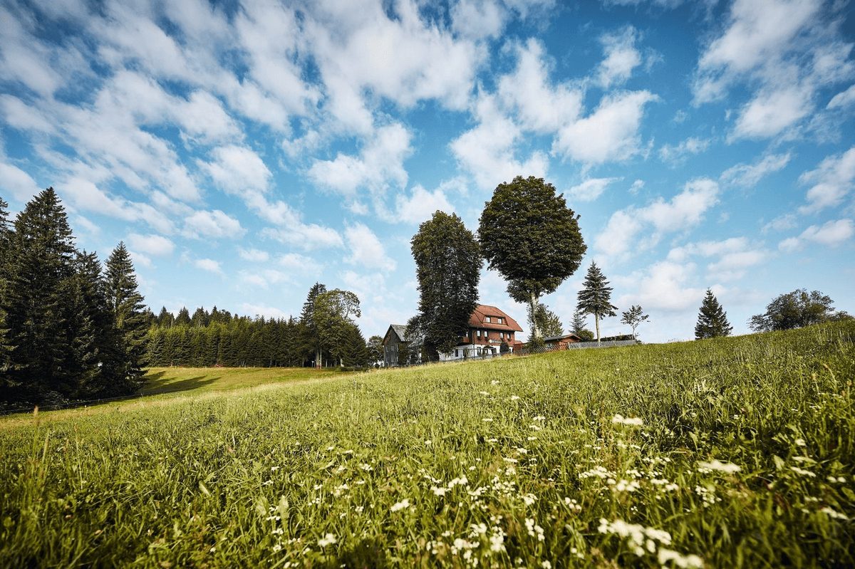 Das Gasthaus Schweizerhof hinter der Wiese unter einem weiten Wolkenhimmel