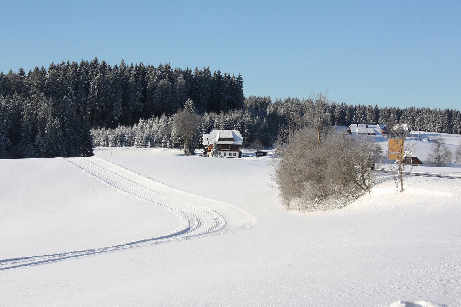 Loipenspur durch das verschneite Feld vor dem Waldrand